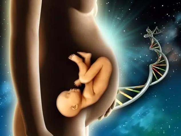 孕期做无创产前胎儿鉴定，给未出生宝宝找亲生父亲