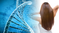 DNA亲子鉴定用头发当样本，鉴定结果准不准