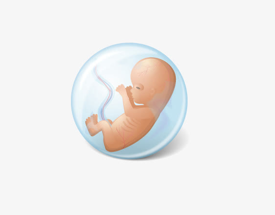 在深圳做胎儿鉴定需要多少钱
