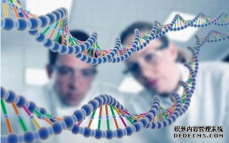 DNA无创产前亲子鉴定多少钱